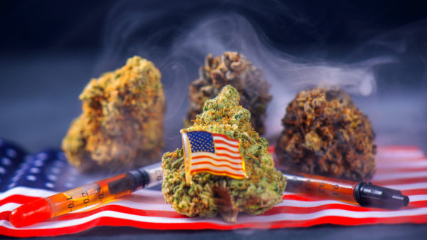 Proposal Would Allow Service Members Who Admit Cannabis Use To Return To Military